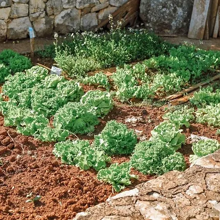 Lu 2 Krk By Guide 빌라 *