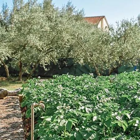 Villa Lu 2 Krk By Guide