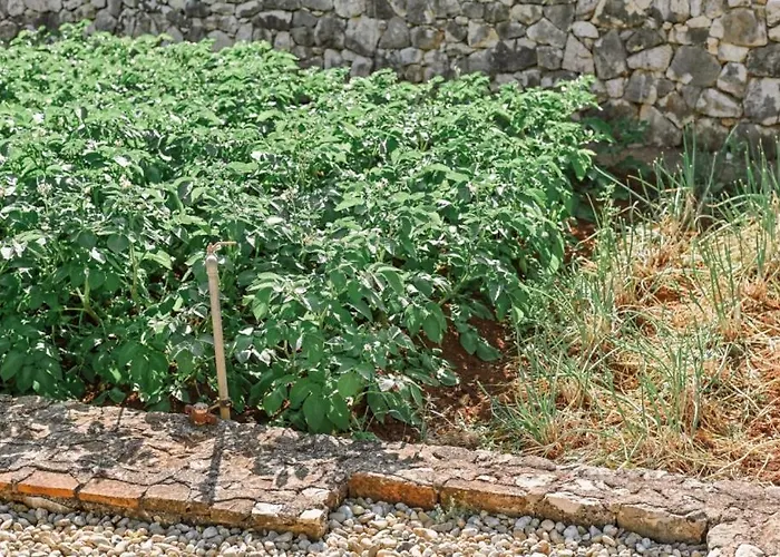 Lu 2 Krk By Guide Villa *