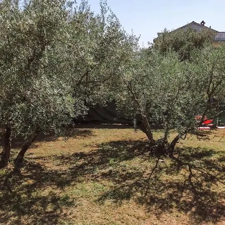 Lu 2 Krk By Guide Willa Malinska