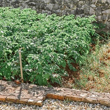 Lu 2 Krk By Guide Villa *