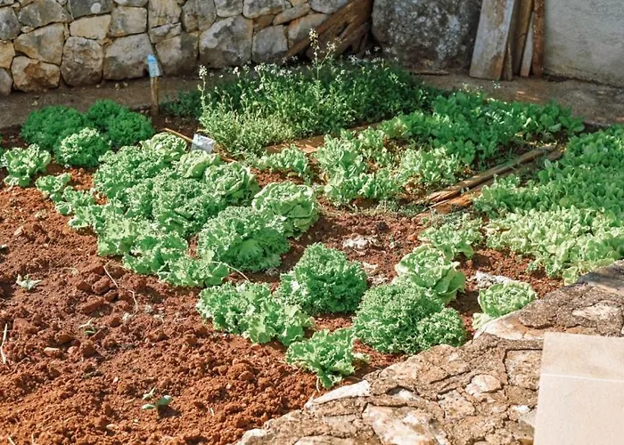 Lu 2 Krk By Guide Villa *