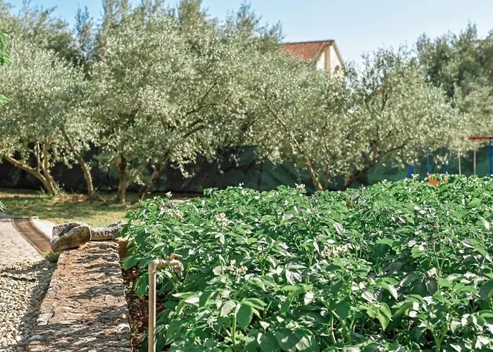 Villa Lu 2 Krk By Guide